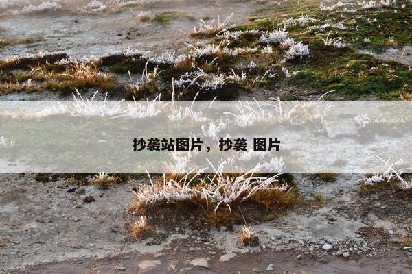 抄袭站图片，抄袭 图片