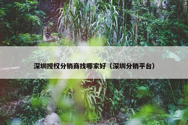 深圳授权分销商找哪家好（深圳分销平台）