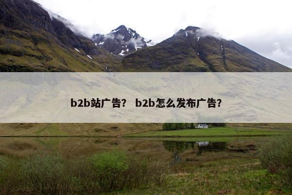 b2b站广告？ b2b怎么发布广告？