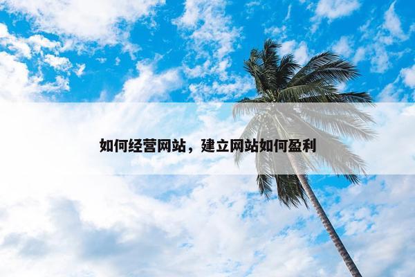 如何经营网站，建立网站如何盈利