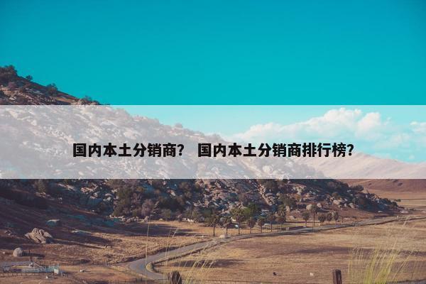 国内本土分销商？ 国内本土分销商排行榜？