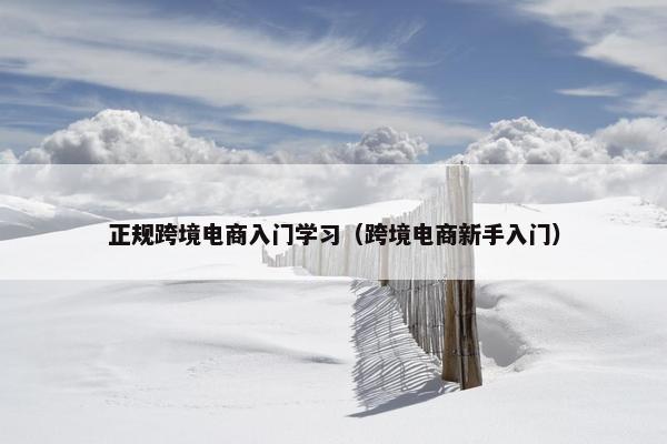 正规跨境电商入门学习（跨境电商新手入门）