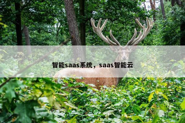 智能saas系统，saas智能云