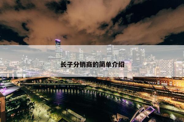 长子分销商的简单介绍