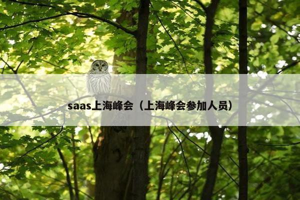 saas上海峰会（上海峰会参加人员）