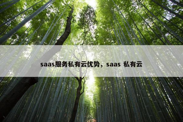 saas服务私有云优势，saas 私有云