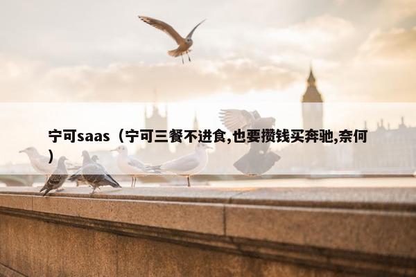 宁可saas（宁可三餐不进食,也要攒钱买奔驰,奈何）