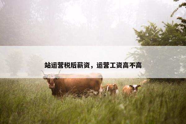 站运营税后薪资，运营工资高不高