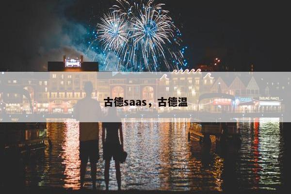 古德saas，古德温