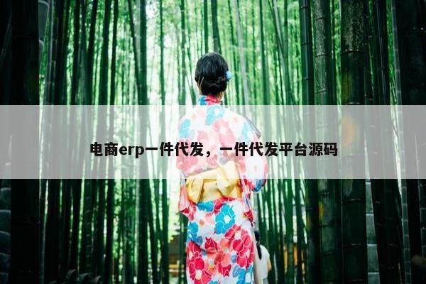 电商erp一件代发，一件代发平台源码