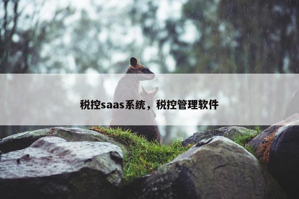 税控saas系统，税控管理软件