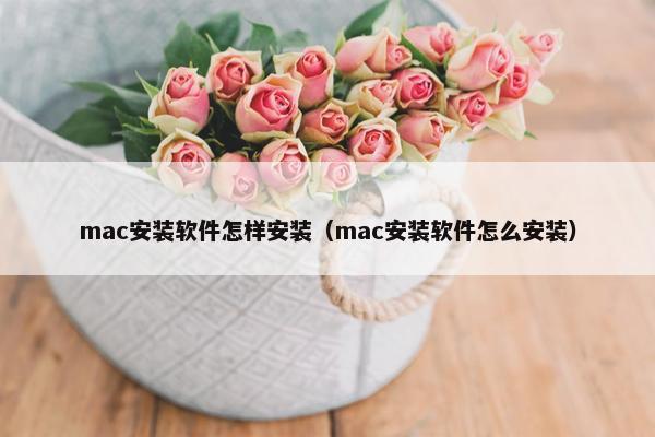 mac安装软件怎样安装（mac安装软件怎么安装）