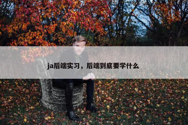 ja后端实习，后端到底要学什么