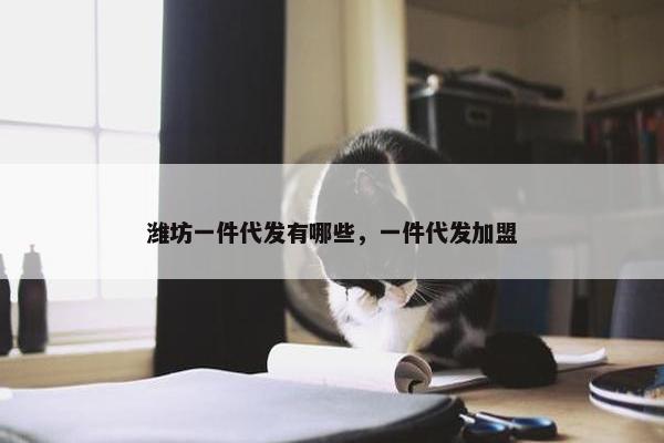 潍坊一件代发有哪些，一件代发加盟