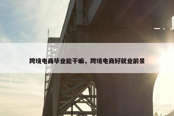 跨境电商毕业能干嘛，跨境电商好就业前景