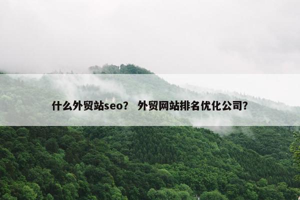 什么外贸站seo？ 外贸网站排名优化公司？