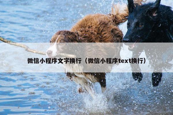 微信小程序文字换行（微信小程序text换行）