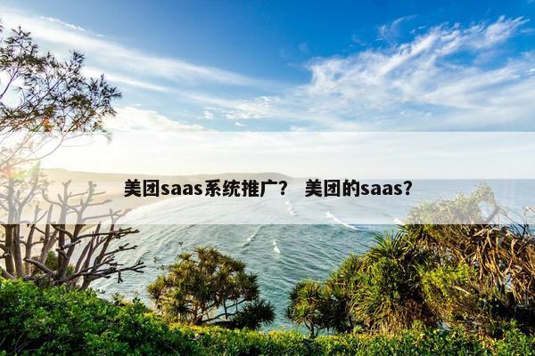 美团saas系统推广？ 美团的saas？