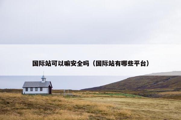 国际站可以嘛安全吗（国际站有哪些平台）