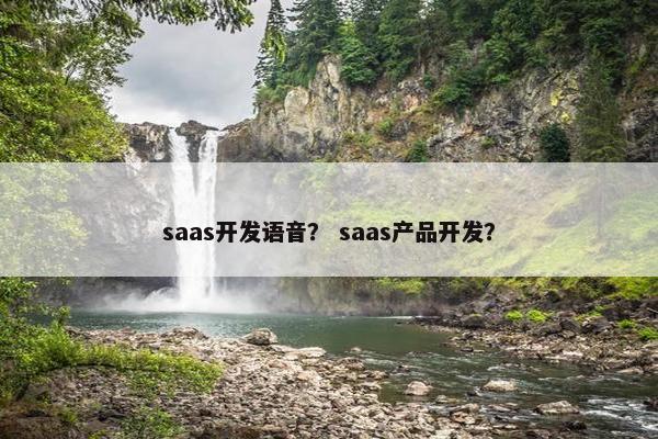 saas开发语音？ saas产品开发？