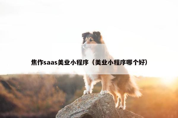 焦作saas美业小程序（美业小程序哪个好）