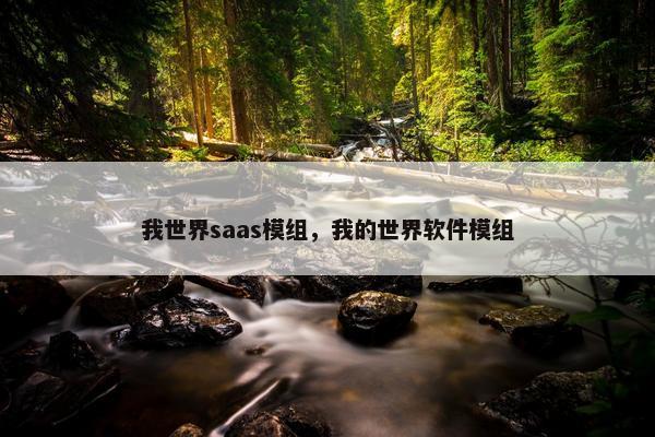 我世界saas模组，我的世界软件模组