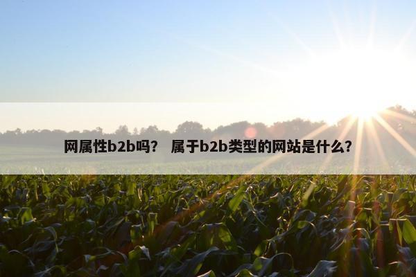 网属性b2b吗？ 属于b2b类型的网站是什么？