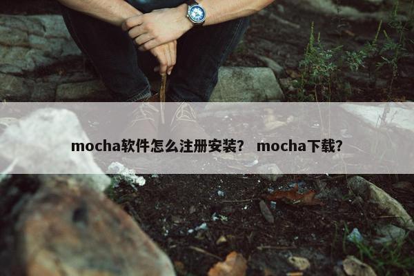 mocha软件怎么注册安装？ mocha下载？