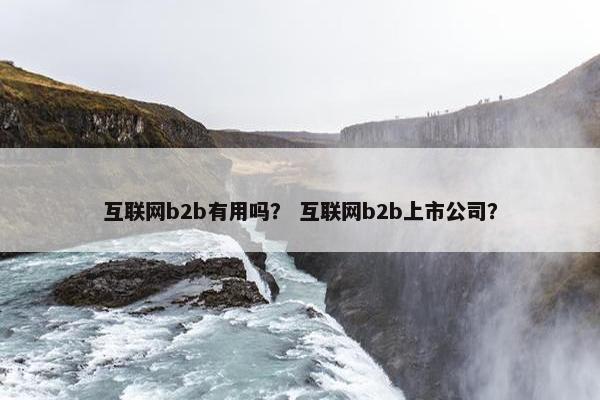互联网b2b有用吗？ 互联网b2b上市公司？