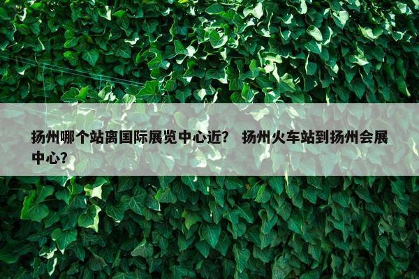 扬州哪个站离国际展览中心近？ 扬州火车站到扬州会展中心？