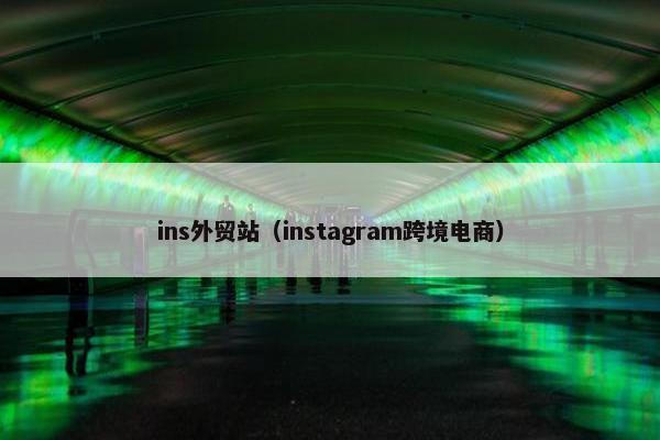 ins外贸站（instagram跨境电商）