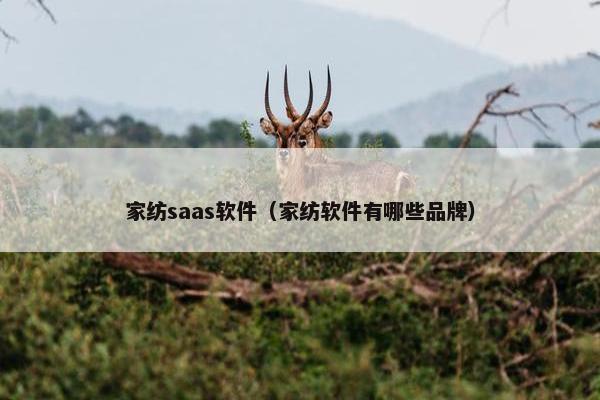 家纺saas软件（家纺软件有哪些品牌）