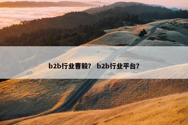 b2b行业曹毅？ b2b行业平台？