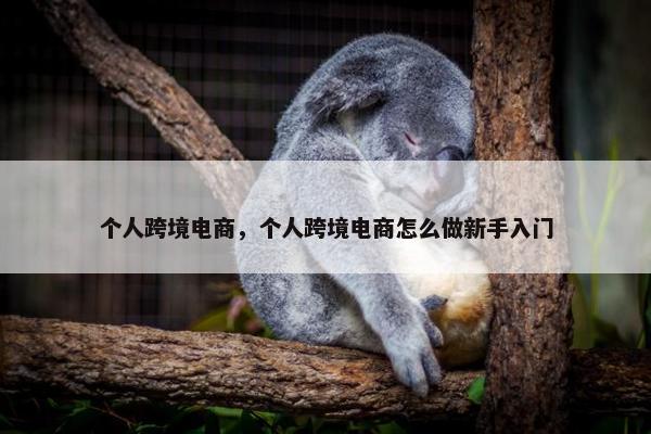 个人跨境电商，个人跨境电商怎么做新手入门