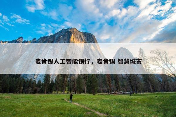麦肯锡人工智能银行，麦肯锡 智慧城市