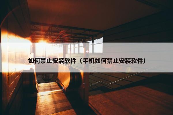 如何禁止安装软件（手机如何禁止安装软件）