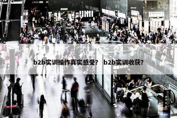 b2b实训操作真实感受？ b2b实训收获？
