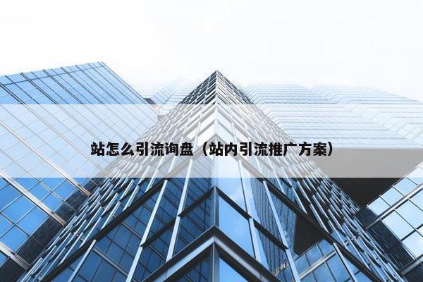 站怎么引流询盘（站内引流推广方案）