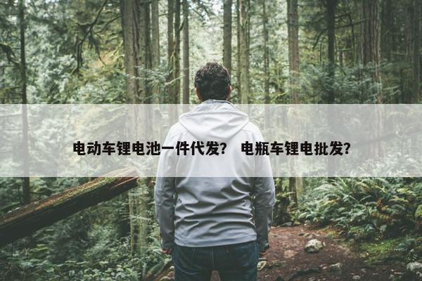 电动车锂电池一件代发？ 电瓶车锂电批发？