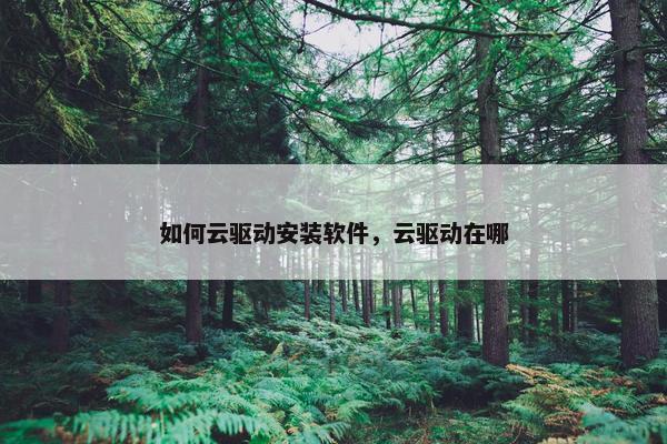 如何云驱动安装软件，云驱动在哪