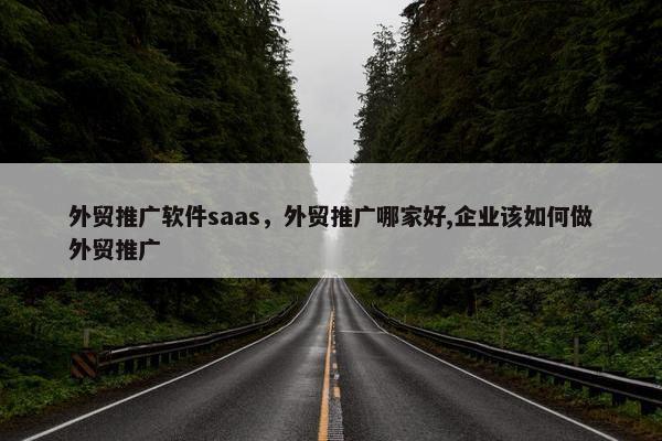 外贸推广软件saas，外贸推广哪家好,企业该如何做外贸推广