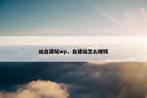 站自建站wp，自建站怎么赚钱