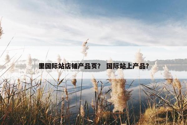 里国际站店铺产品页？ 国际站上产品？