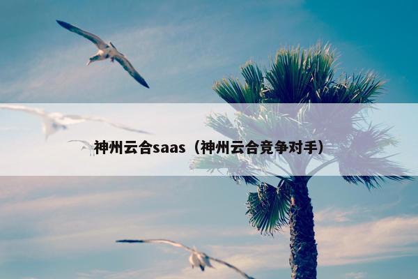 神州云合saas（神州云合竞争对手）