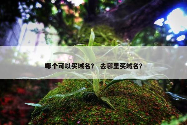 哪个可以买域名？ 去哪里买域名？