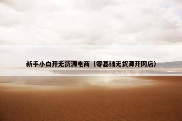 新手小白开无货源电商（零基础无货源开网店）