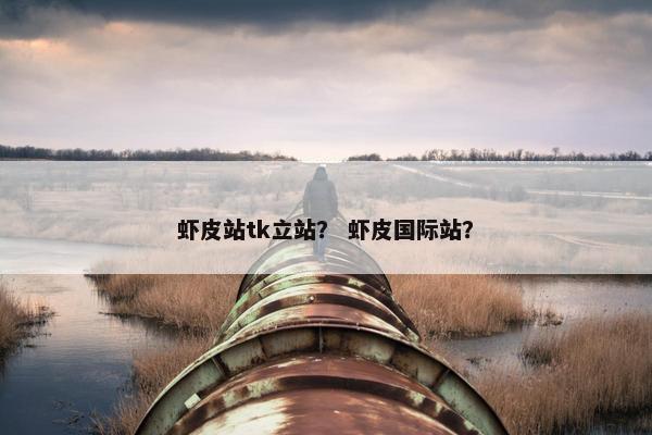 虾皮站tk立站？ 虾皮国际站？