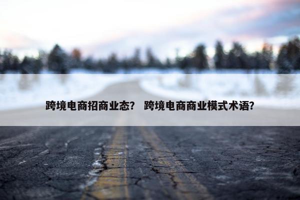 跨境电商招商业态？ 跨境电商商业模式术语？