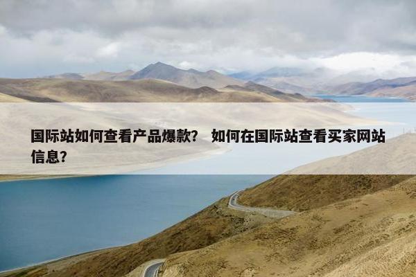 国际站如何查看产品爆款？ 如何在国际站查看买家网站信息？