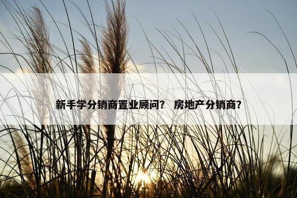 新手学分销商置业顾问？ 房地产分销商？